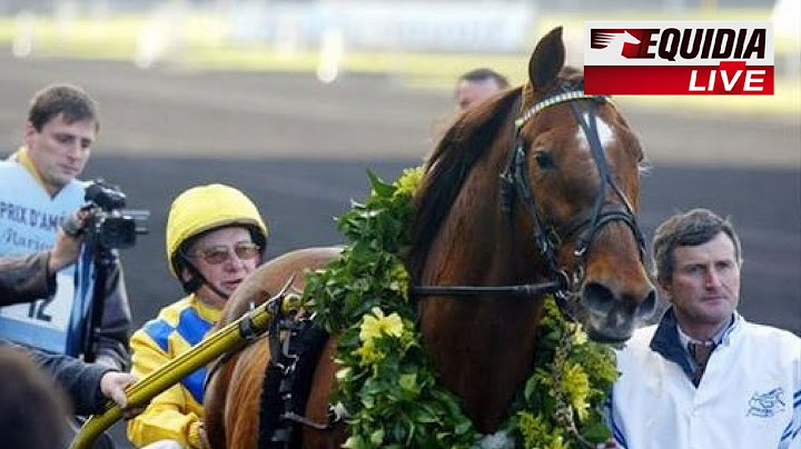 PRIX D'AMÉRIQUE 1988 : OURASI, 3EME VICTOIRE CONSÉCUTIVE !