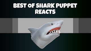 Shark puppet reacts best complation day 1