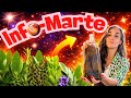 Info Marte #2