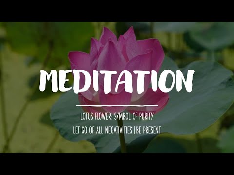 Video: Lotus - Een Symbool Van Zuiverheid