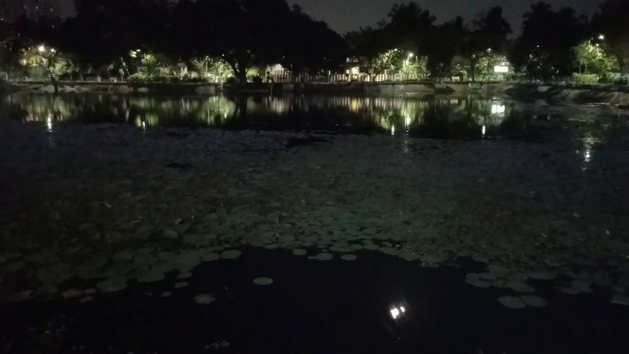 Full Moon in Lake View in Lotus pond | Southernfoodforyou