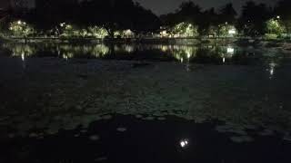 Full Moon in Lake View in Lotus pond screenshot 4