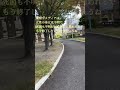 東小橋公園女性変死事件