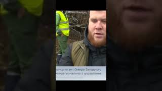 в реке сдохла вся рыба. В деревне Большая Пустомержа#news #incidents #новости #newstoday #newshorts