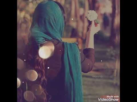 حاتم العراقي كان القلب سالي حالات وتس اب 