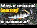 ВОБЛЕРЫ ДЛЯ ЛОВЛИ ОКУНЯ ВЕСНОЙ РЫБАЛКА 2019