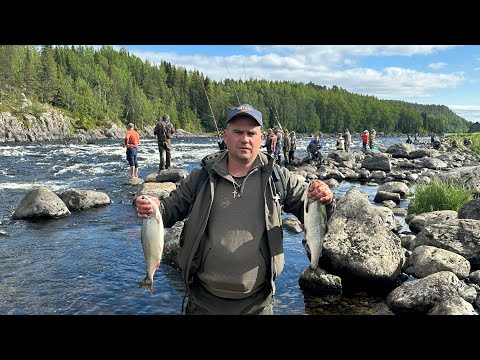 Умба 2023 | Рыбалка на Кольском полуострове | Ловля горбуши на поплавочную удочку