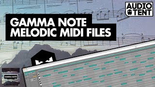 Video thumbnail of "Gamma Note Melodic Techno MIDI Files (Inside Look)"