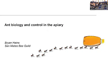 Bryan Hains - Ant Biology and Control in the Apiary