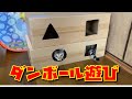 【ねこどうが】ダンボール工作の箱で遊ぶ猫