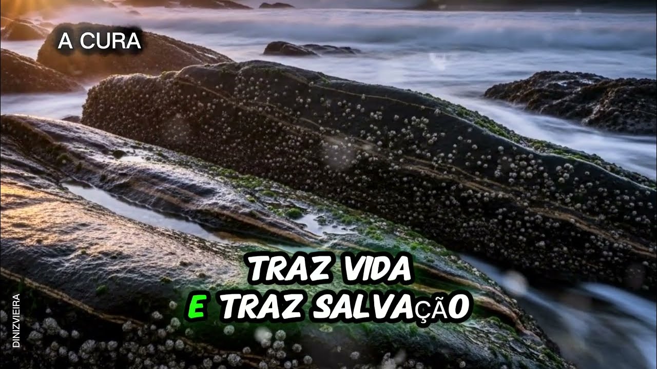 PRESENÇA de DEUS Na SUA VIDA!😭😭– Louvor  que Toca as Almas Feridas  |