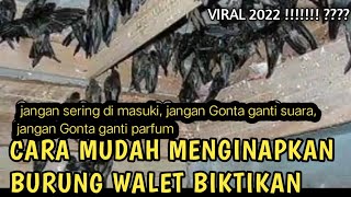 SUARA WALET VIRAL 2022 SUPER MANTAB