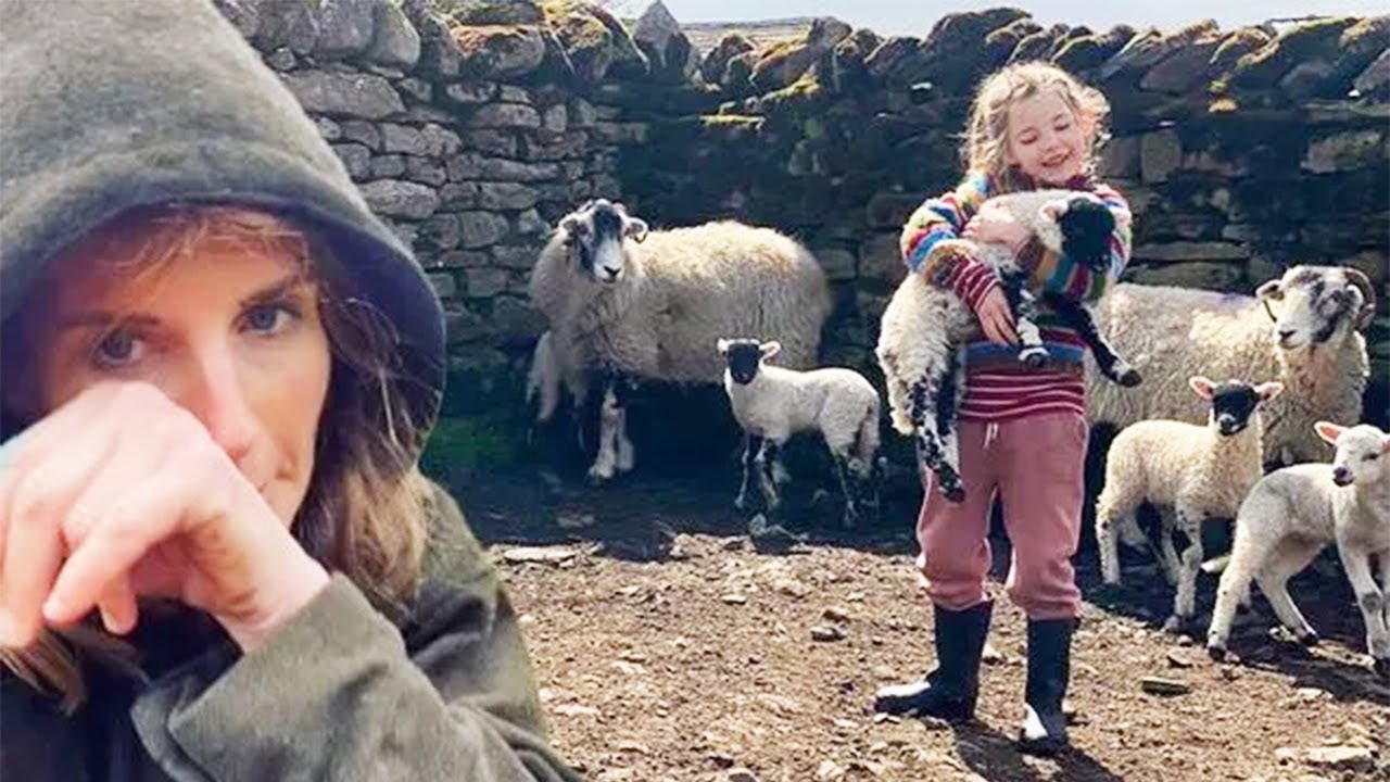 Our Yorkshire Farm’s Amanda Owen issues update on Iambing struggles after previous tragedy