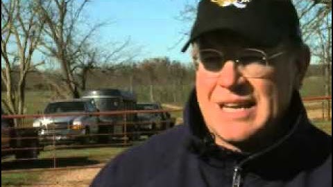 Timing Artificial Insemination