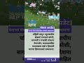 कोसी, बाग्मती र गण्डकीमा वर्षा चेतावनी | मौसम अपडेट #WeatherWarning #Nepal