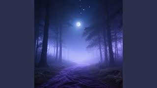 Velvet Paths After Midnight