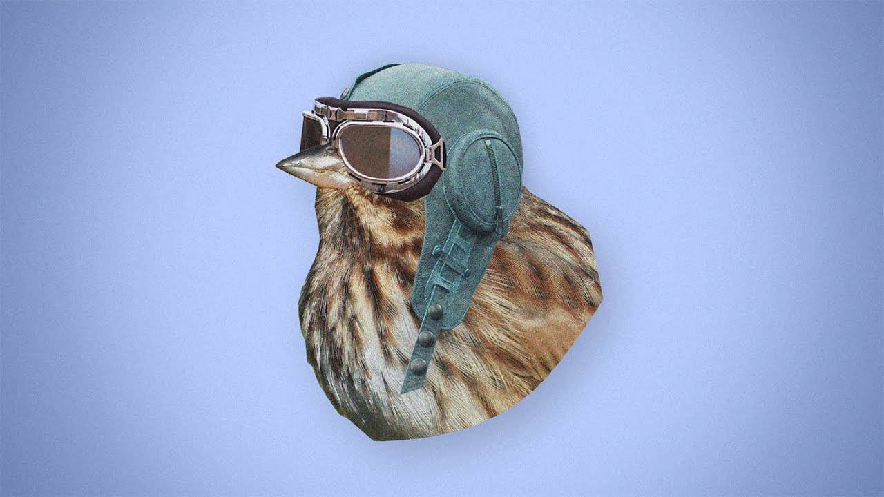 Watch Skarby - Brum (Official Visualizer) on YouTube Watch Skarby - Brum (Official Visualizer) on YouTube