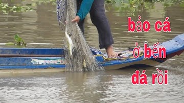 Anh chài cá ở bến đá trúng đậm . Rách chài luôn .