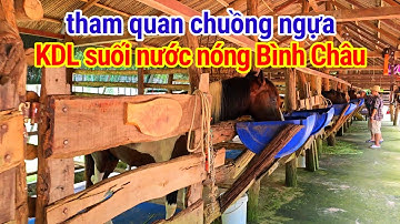 🐴 chuồng ngựa tại khu du lịch suối nước nóng bình châu 💥 du lịch Vũng Tàu | du lịch khám phá đó đây