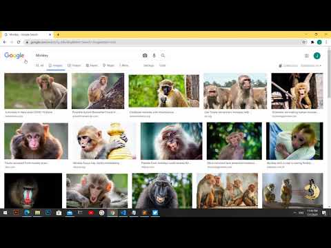 cs50 Web Programming With Python and JavaScript-Project0
