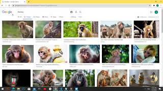 cs50 Web Programming With Python and JavaScript-Project0