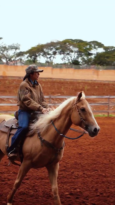 Quando sua #fordranger é tão versátil que cidade e campo viram apenas cenários da mesma história. 🤠