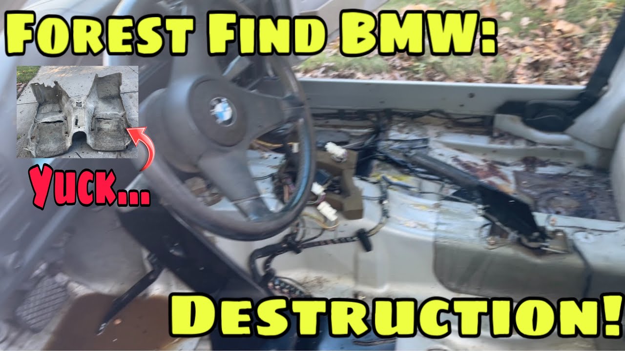 Carpet Out, Top Down, Motor Turns? YouTube