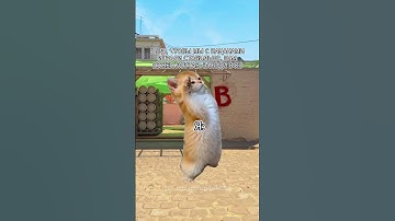 Я хорошо делаю свою работу #cs2 #cs2funny #cs2clips #cs2moments #cs2memes #кс2 #кс2мемы #кс2приколы