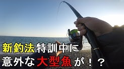 ちゃんねるよしゅあ Youtube
