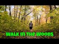 Walk in the Woods at Maplewood State Park in Minnesota