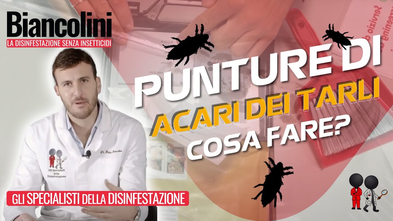 Come eliminare i tarli dai mobili in modo naturale. i rimedi ... Come eliminare il tarlo dai mobili