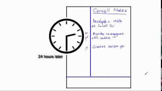 Cornell Notes Wealth