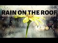 Sounds of rain falling on the roof. Relaxation  for sleep and meditation.