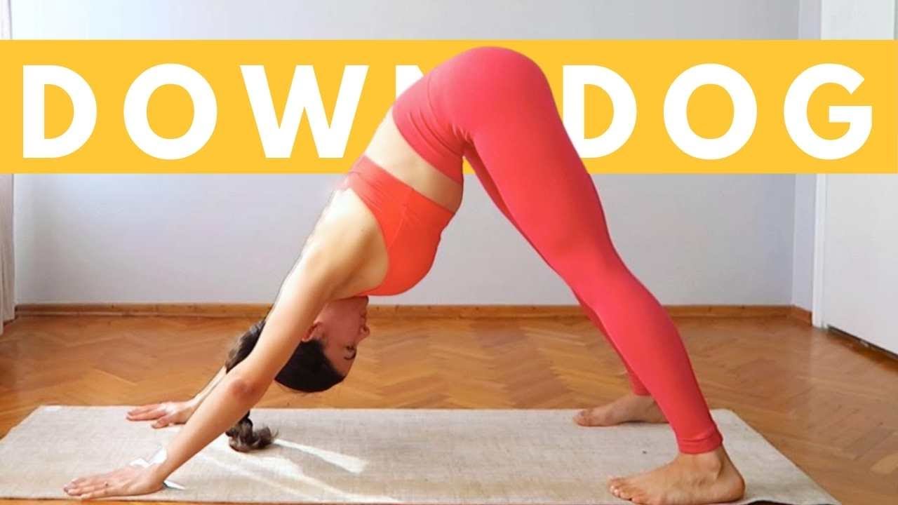 DOWN DOG YOGA FLOW How to do downward dog ? 20 minute yoga flow