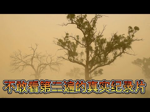 真实拍摄！影响全人类的环境大屠杀，如今仍在继续……《气候变化：事实真相》【宇哥讲电影】