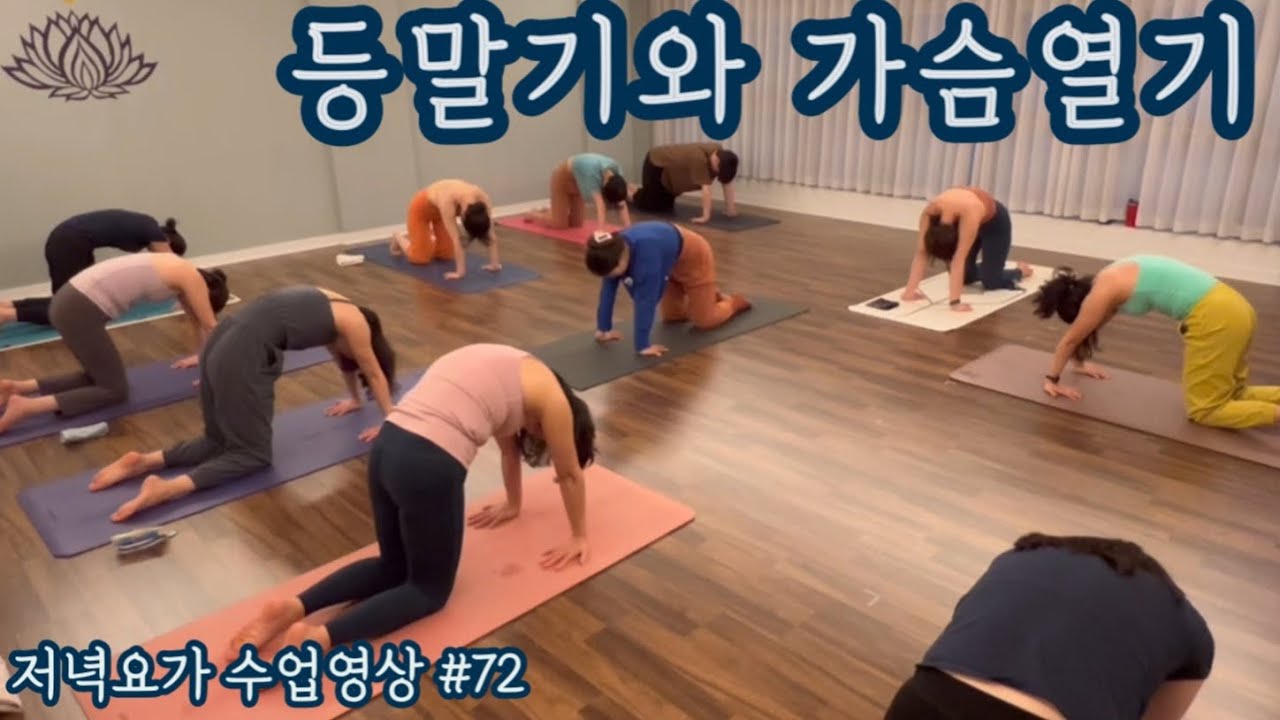 [엔젤요가] 저녁요가 수업영상 #72 | 등말기와 가슴열기