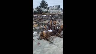Higgins Beach historic storm damage in Scarborough Maine USA