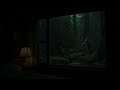 Peaceful Rain Outside Cozy Window with Trees for Deep Sleep and Quiet Relaxation