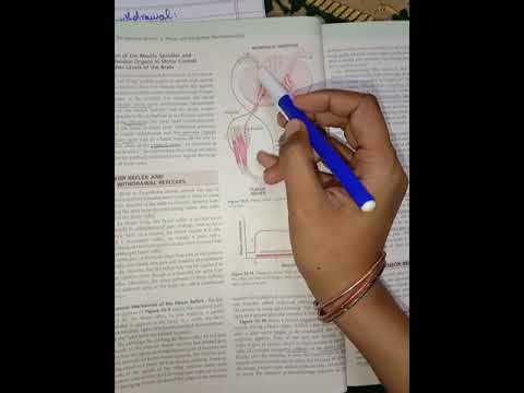 Flexor reflex,Crossed extensor reflex Complete concept in easy way.