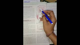 Flexor reflex,Crossed extensor reflex Complete concept in easy way.
