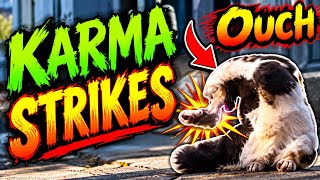Karma Strikes BACK Hard Better STRONGER!