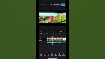 Tutorial 🍁🌿#youtubeshorts #edit #village#explore #timeline #cinematic #capcut #vn #editing