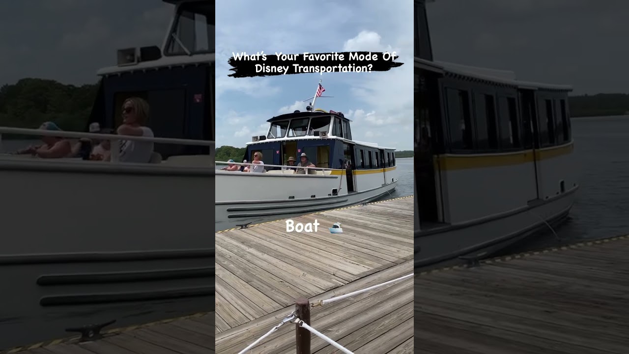 What’s Yours? #wdw #disneyworld #disneyresort #monorail #skyliner #magickingdom #disneyparks #disney