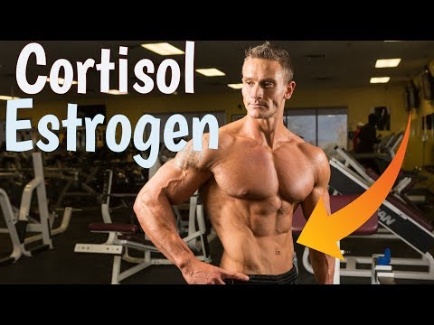 Estrogen and Cortisol: 2 Hormones That Affect Belly Fat: Thomas DeLauer