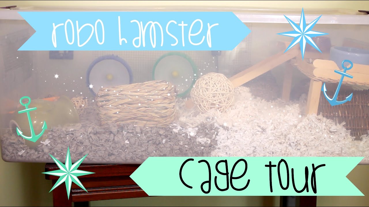 Robo Hamster Cage Tour YouTube