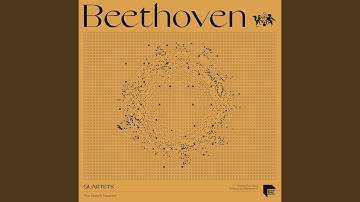 Quartet No. 9 in C Major, Op. 59 No. 3 "Rasoumovsky": IV. Allegro molto