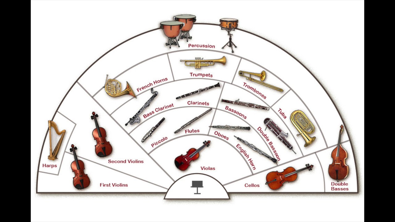 Перечислите группы симфонического оркестра. Схема рассадки инструментов в симфоническом оркестре. Рассадка симфонического оркестра схема. Схема рассадки музыкантов в симфоническом оркестре. Американская рассадка симфонического оркестра схема.