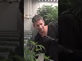 Selecting Clones  #growyourown #advancednutrients #angrown