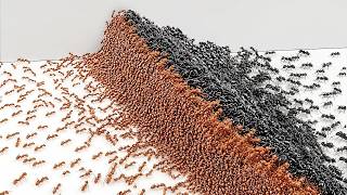 1000 Red Ants vs 1000 Black Ants