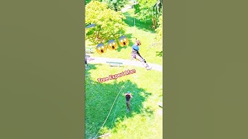 tree Expert Man in forest!#fall#tree #shortsfeed #shorts #treecutting #treecutting #ytshorts